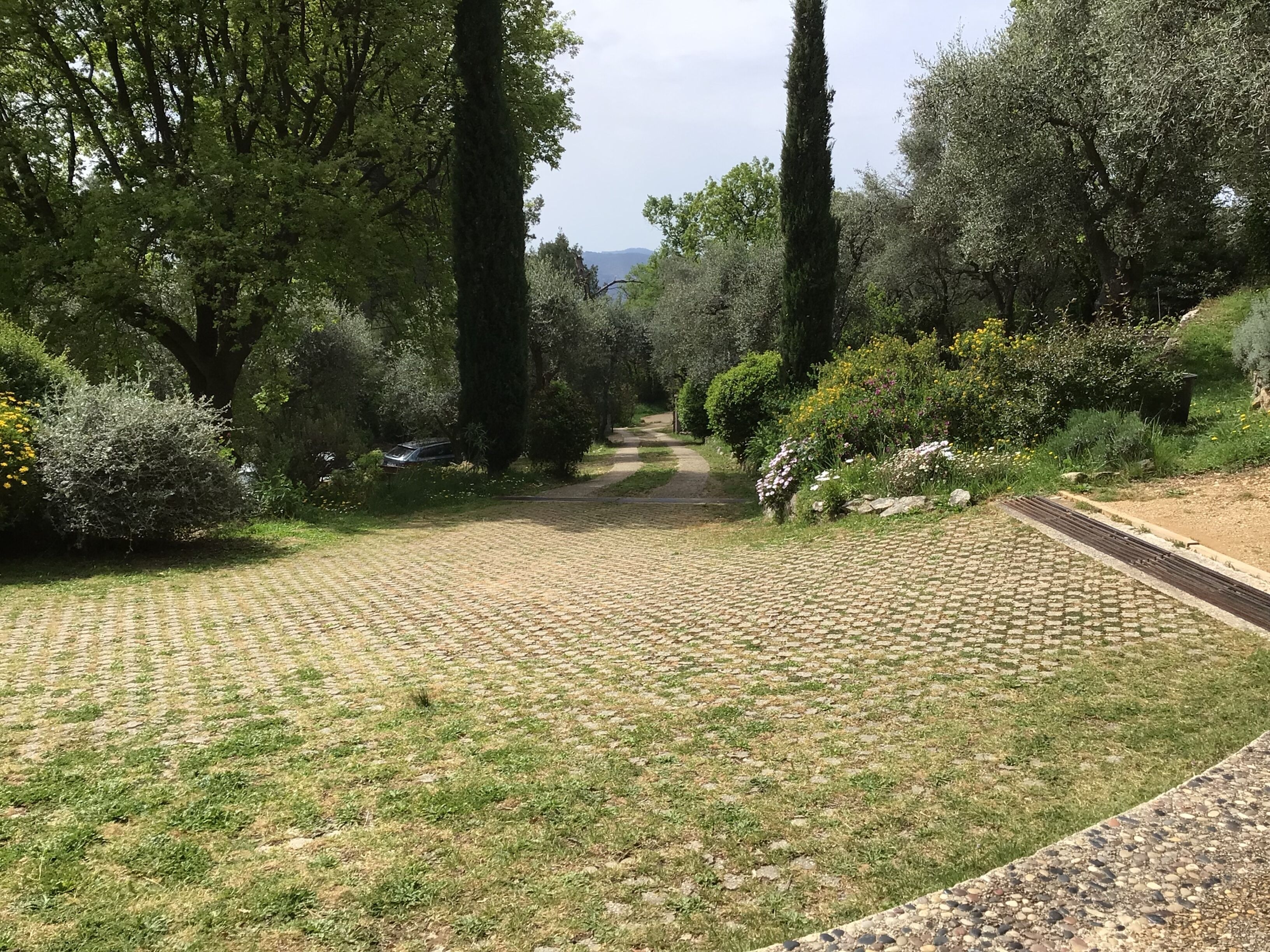 A paved garden pathway surrounded by various trees and shrubs.