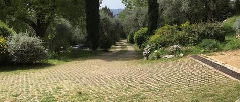 A paved garden pathway surrounded by various trees and shrubs.