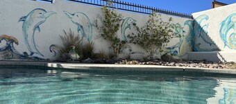 OASIS IN THE DESERT!