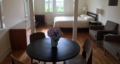 Stunning Capitol Hill View Apartment