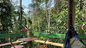 A wooden deck with a table and chairs, surrounded by lush greenery and a hammock.