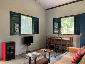 Smart-TV, Kamin