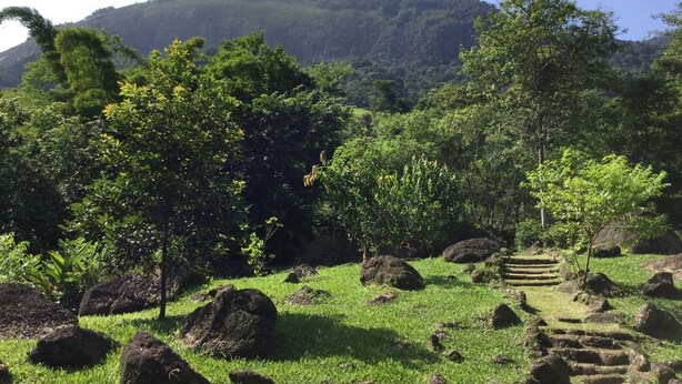 A grassy area with large rocks and a stone pathway leading uphill.