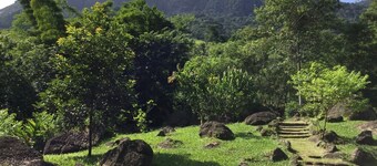 Lovely little house in the woods, birds, trails and waterfall in the backyard.