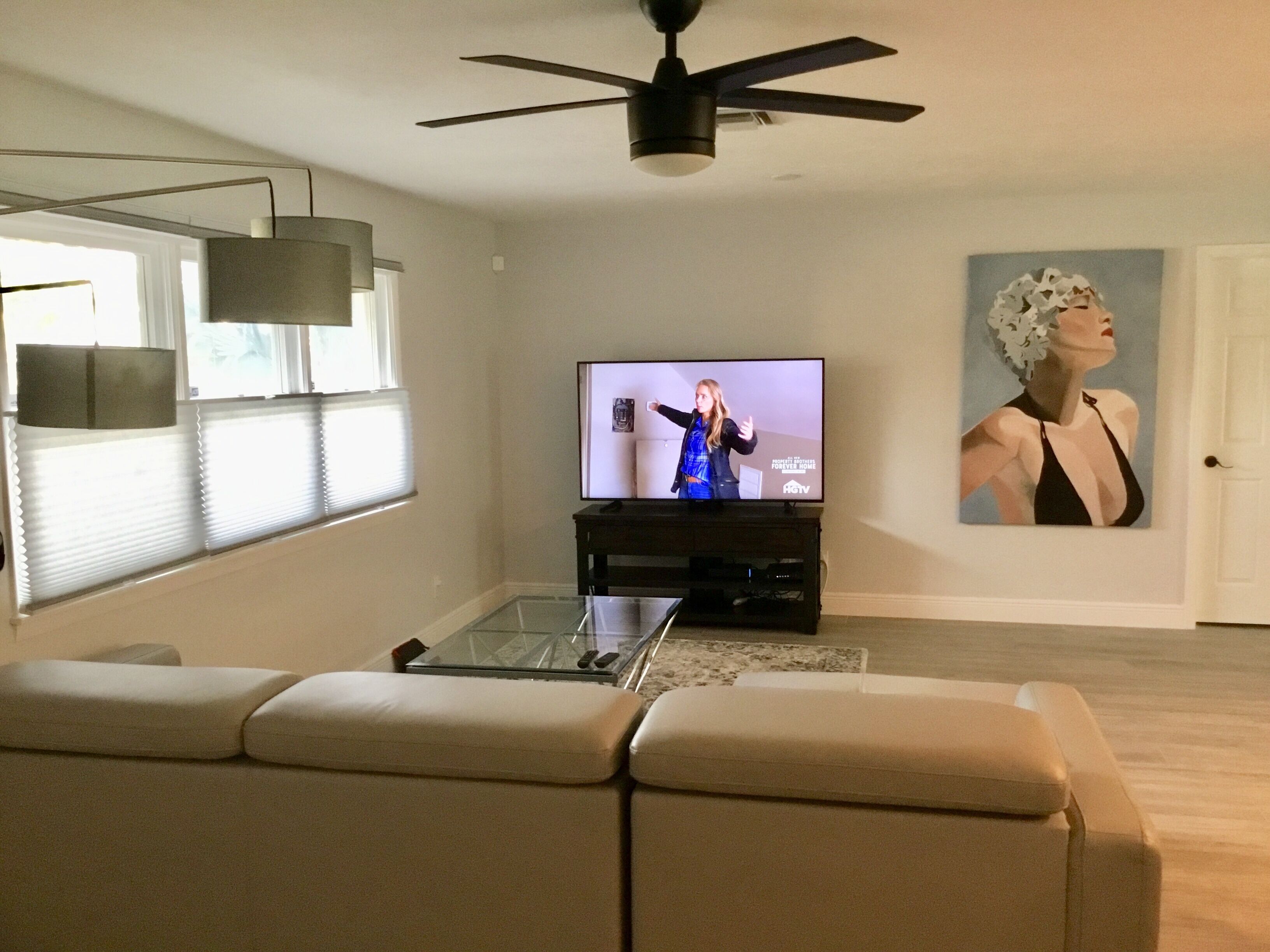 A living room with a TV, a ceiling fan, a couch, and a painting on the wall.