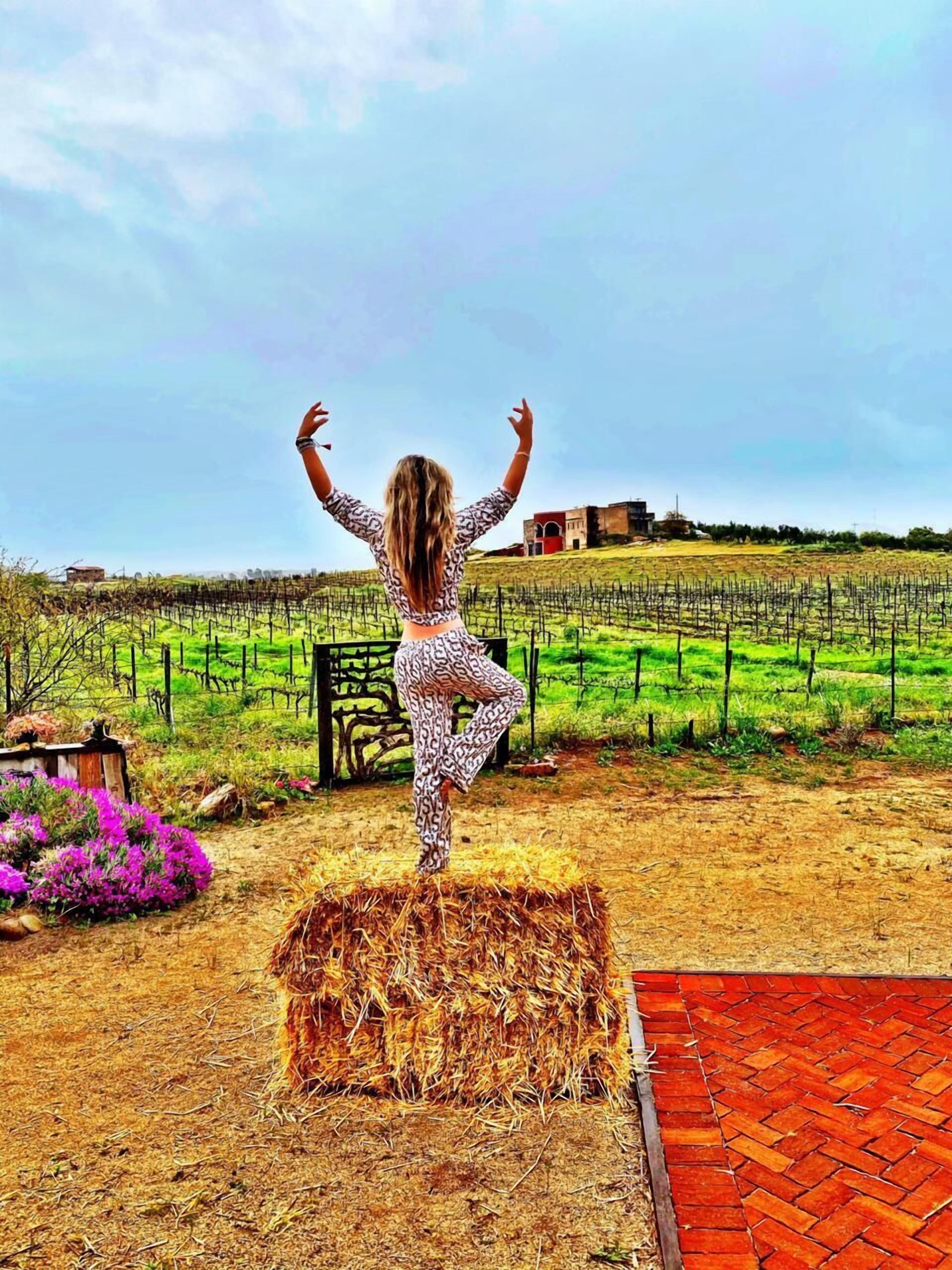 Área da propriedade