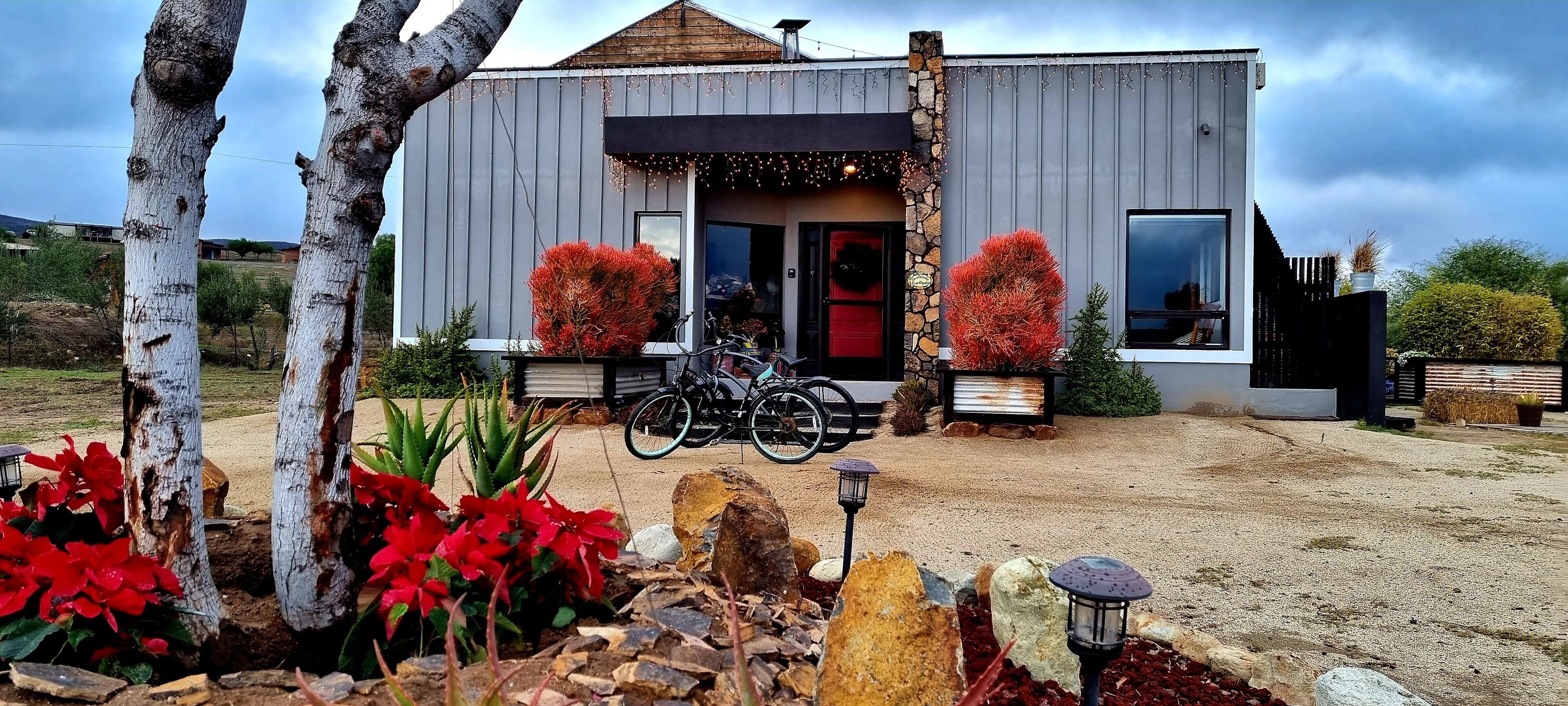 A modern building with a gravel driveway, two bicycles parked in front, and a variety of plants and rocks in the foreground.