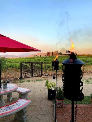 Property grounds - BEAUTIFULL VINEYARD HOUSE (CASA MAZAHUA)  IN VALLE DE GUADALUPE (VALLE DE GUADALUPE)