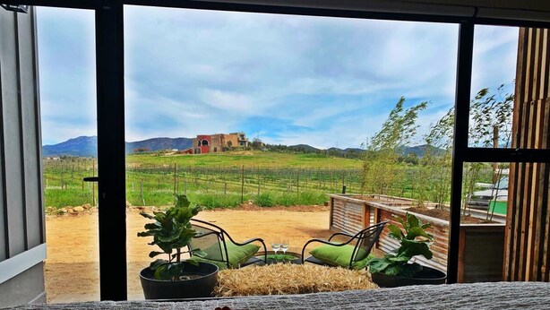 A room with a large window overlooking a vineyard, a rustic outdoor seating area with chairs and a table, and a view of distant hills. - BEAUTIFULL VINEYARD HOUSE (CASA MAZAHUA)  IN VALLE DE GUADALUPE (VALLE DE GUADALUPE)
