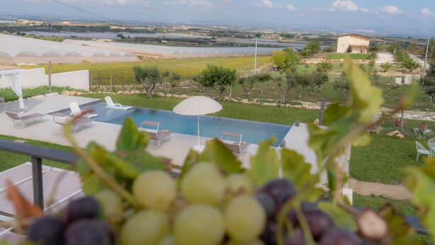 Zona de piscina con sillones de descanso y vistas a un viñedo y el paisaje distante.
