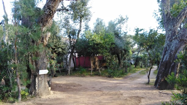 A dirt path leading to a red building surrounded by trees.