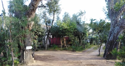Chambre individuelle avec terrasse, facile accĂšs, proche plage pallombaggia