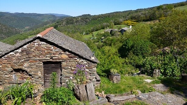 A stone cottage with a sloped roof, surrounded by lush greenery and hills in the background. - Gîte in the heart of the Lozère Cévennes (La Falguière)