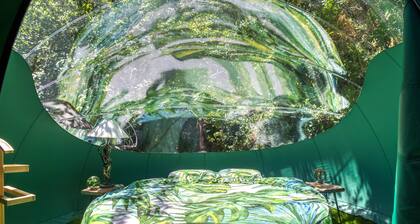 "La Bulle Zen"au coeur de l'insolite