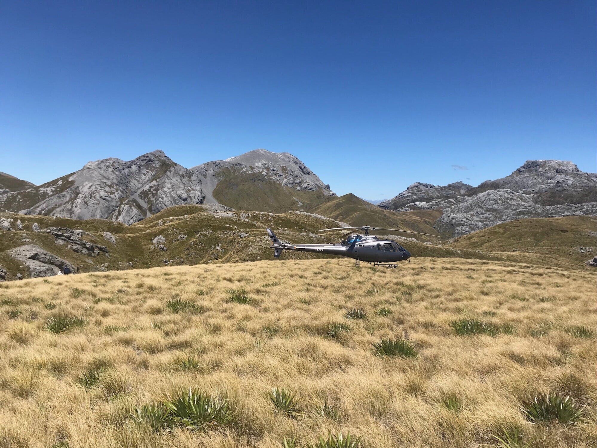 A helicopter parked on a grassy field with mountains in the background.