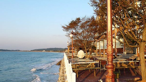 A seaside promenade with a wooden deck, benches, and a railing overlooking the sea. - Marronnier Pension (Taean)