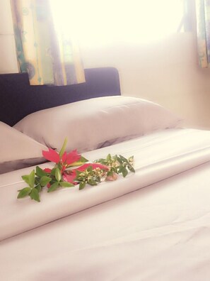 Sams House | Desk, blackout curtains, iron/ironing board, rollaway beds - Green Lodge Holiday Homes (Nuku'alofa)