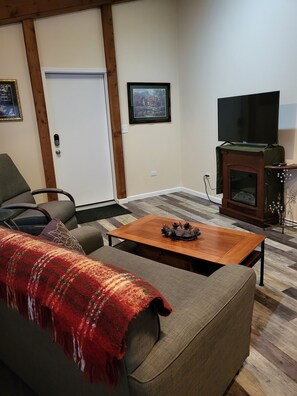 Smart TV, fireplace, DVD player, books