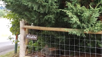 Enceinte de lâhĂ©bergement