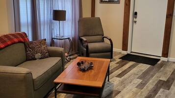 TV connectée, cheminée, lecteur de DVD, livres