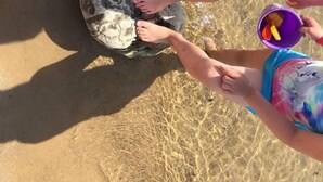 A person playing with a rock on a sandy beach.