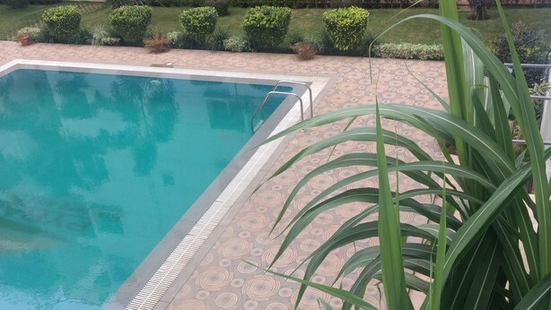 Una piscina con un borde de baldosas estampadas, rodeada de plantas en macetas y un edificio al fondo.