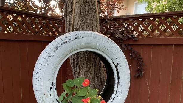 Una jardinera con forma de neumático y flores rojas frente a una cerca de madera y el tronco de un árbol.