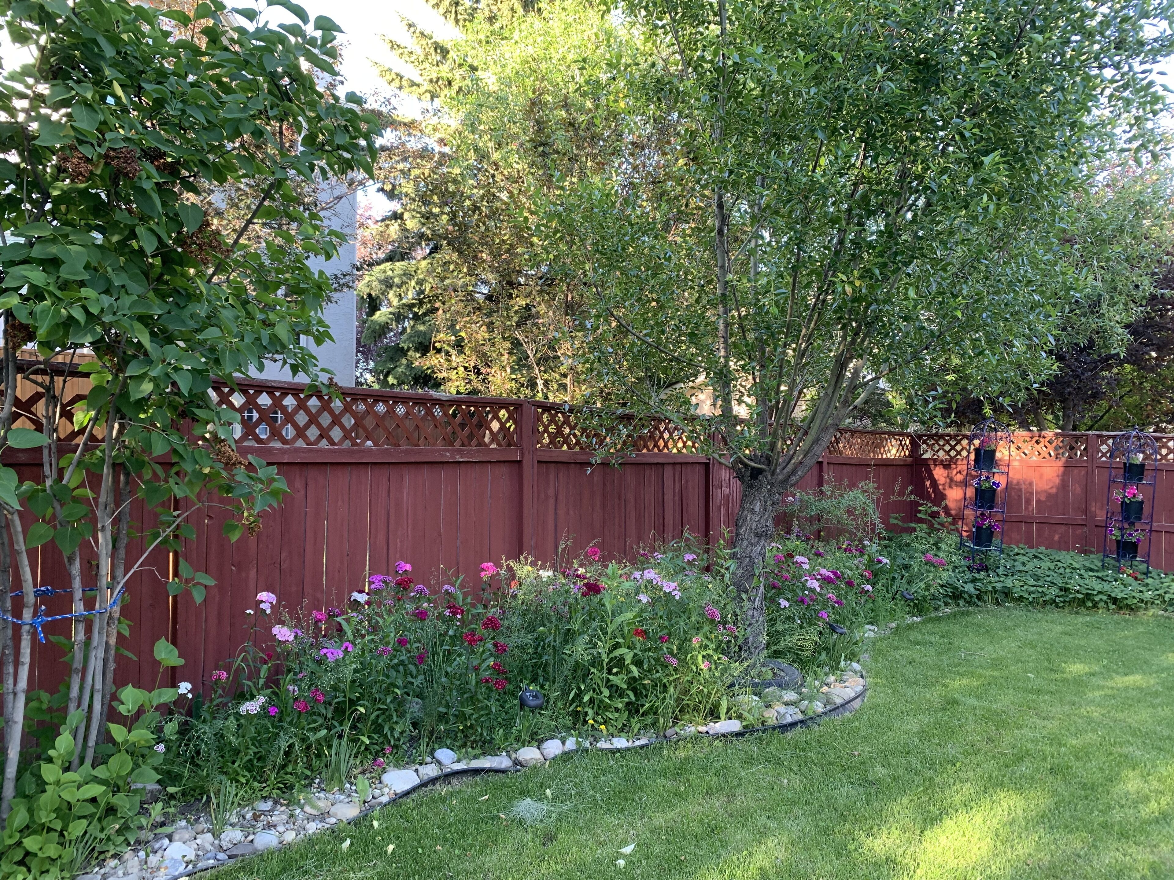 A garden with a wooden fence, a variety of flowering plants, and a small tree.