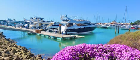 Marina