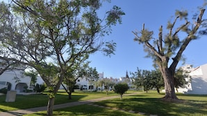 Une cour bordée d’arbres, un sentier et des bâtiments blancs ornés d’arcades.