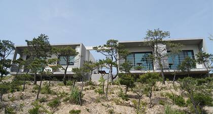 Pohang Sound of Nature Pension