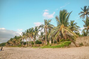 A beach with palm trees and a clear sky. - Residencia du Basco (Basco)