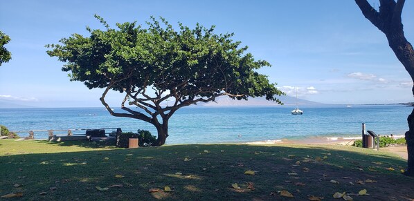 Beach nearby, sun-loungers, beach towels