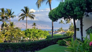 Ein tropischer Garten mit Palmen, einer Hecke und Blick auf Berg und Meer.