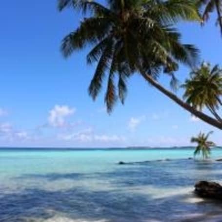 Vista a la playa o al mar