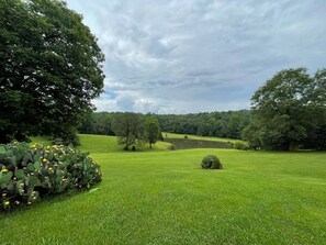 Property grounds - The Cottage - 2 miles to I-65 (Montevallo)