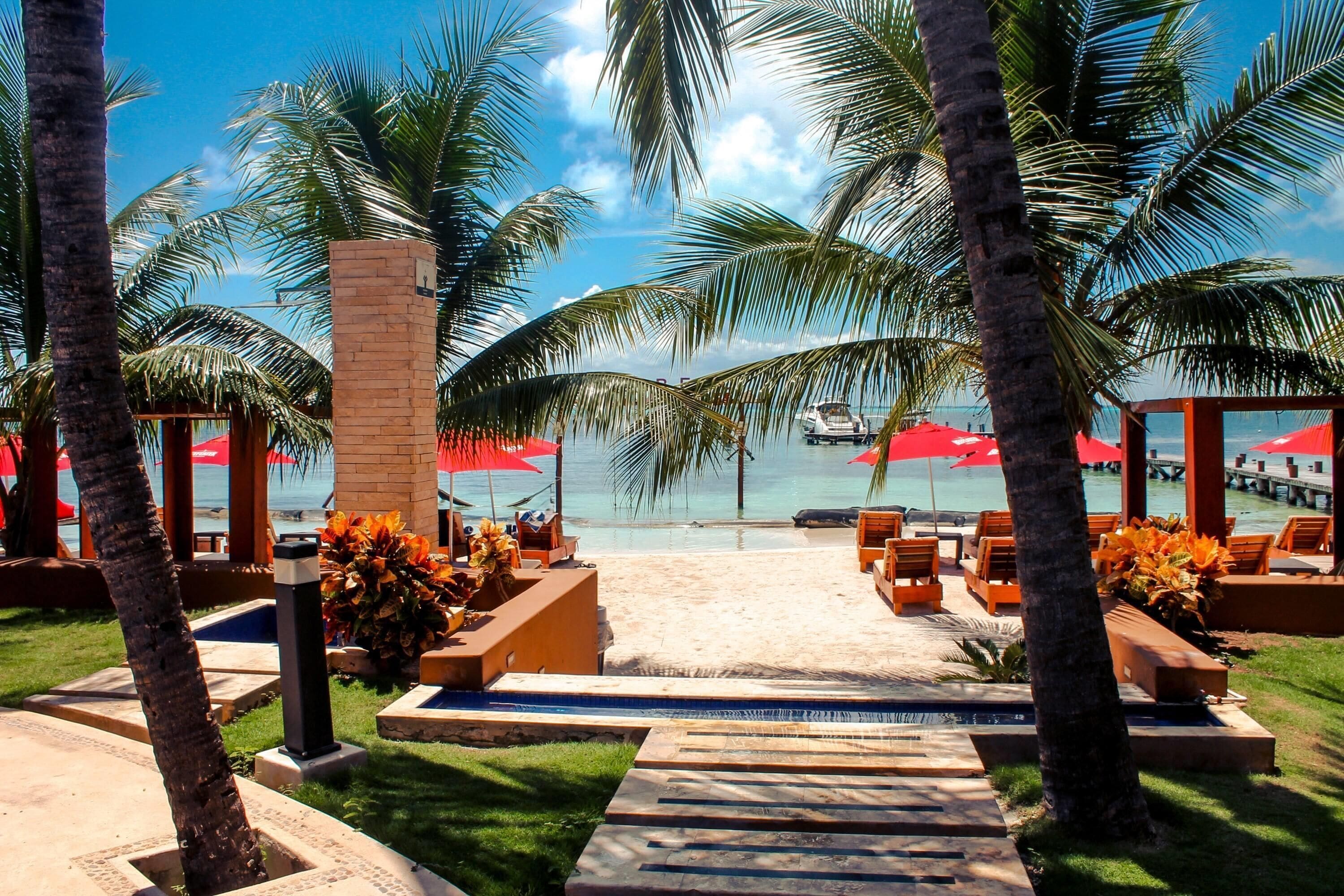 A resort pool area with palm trees, lounge chairs, and a view of the ocean.