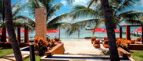 A resort pool area with palm trees, lounge chairs, and a view of the ocean.