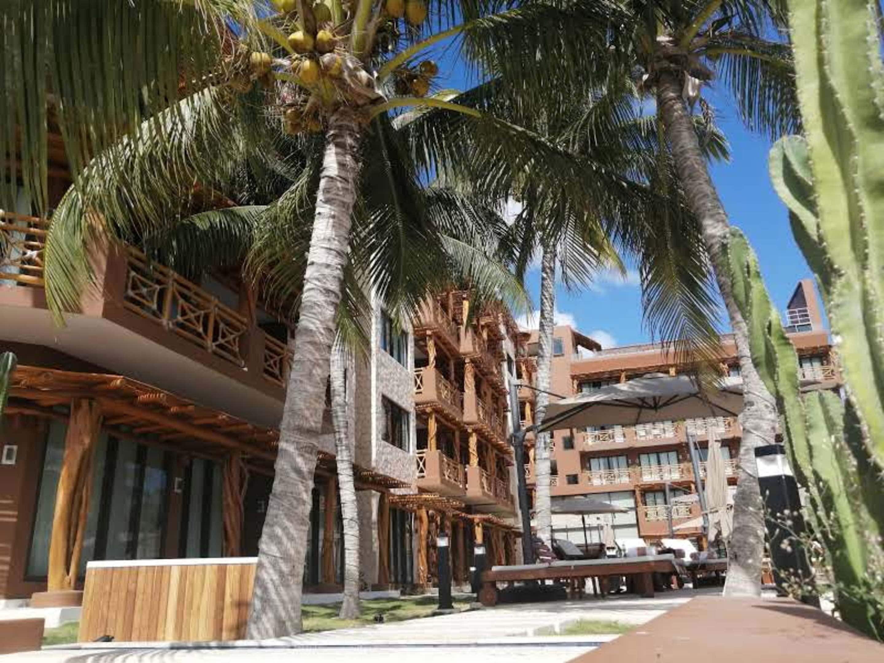 A resort with multiple-story buildings, palm trees, and outdoor seating areas.