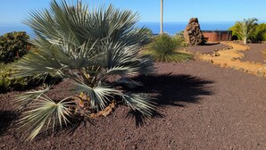 Wüstenlandschaft mit einer großen Yucca-Pflanze, einer Felsformation und einem Gebäude mit geneigtem Dach.