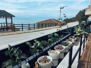 Vista da propriedade