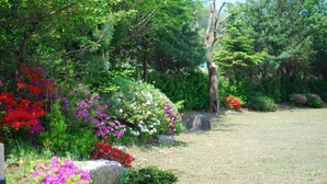 A garden with various flowering plants and a grassy area. - M Motel (Gangneung)