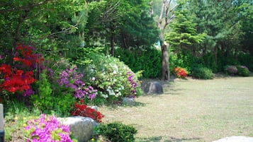 Taman