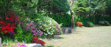Jardín