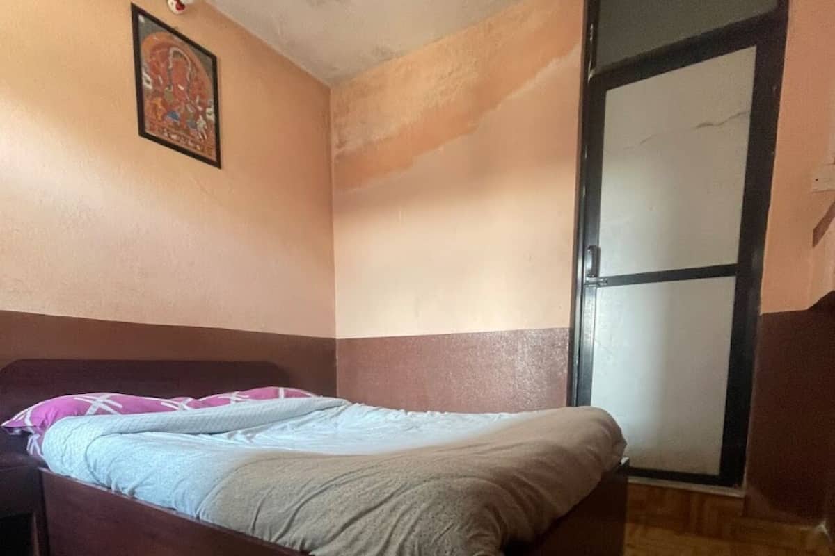 Una cama individual en una habitación con suelo de parqué de madera, una puerta con panel de vidrio y una pared con un cuadro enmarcado.