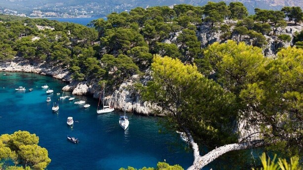 A coastal area with boats anchored in a bay surrounded by rocky cliffs and dense greenery. - Charming cottage located in the heart of a Provencal farmhouse and its winery (Le Plan du Castellet)