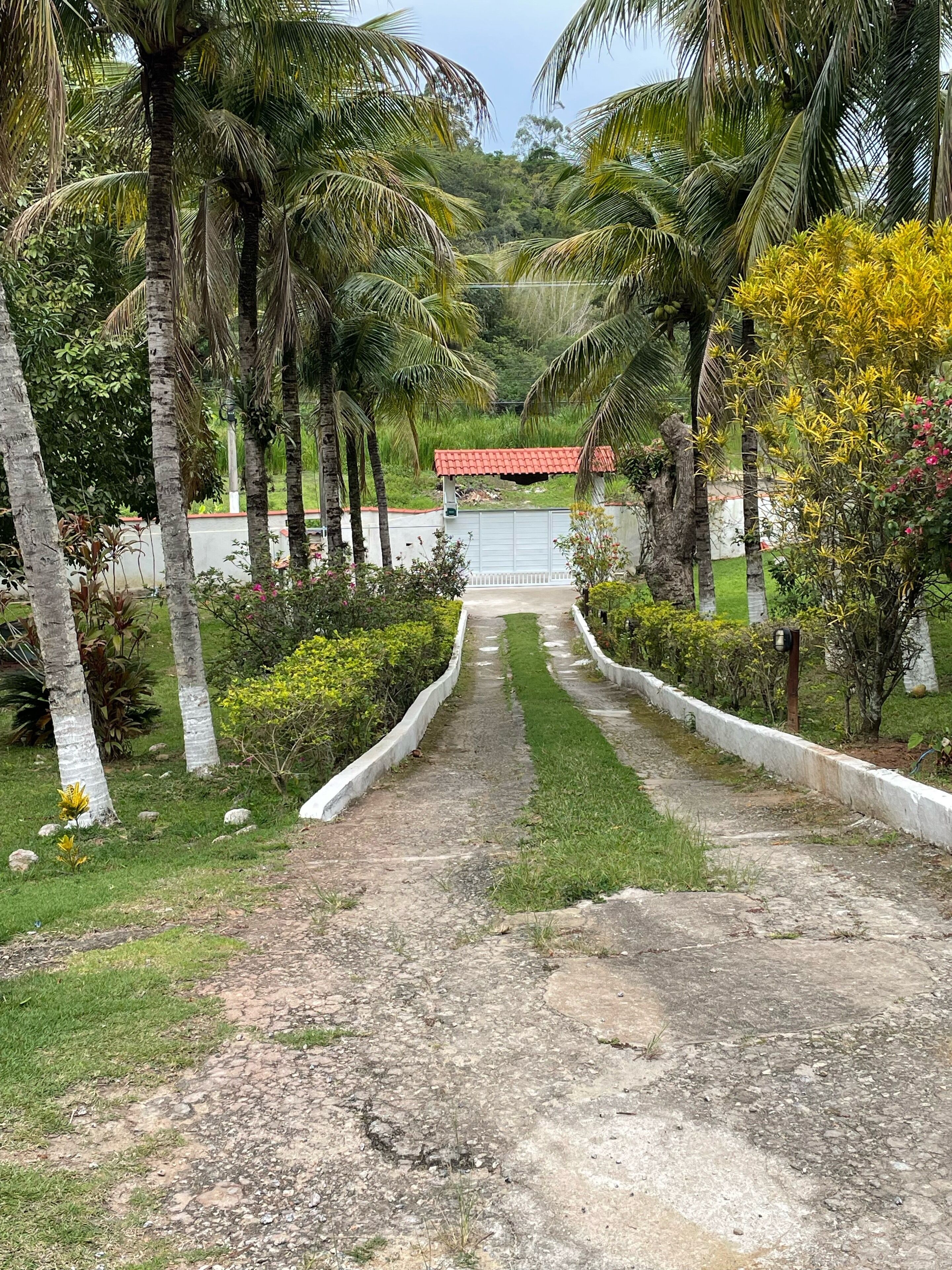 A pathway leading to a gated entrance with palm trees and greenery on both sides.