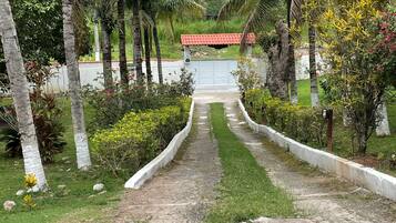 A pathway leading to a gated entrance with palm trees and greenery on both sides.
