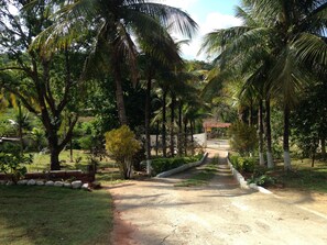 Property grounds - Small Farm in Saquarema for Rent (Saquarema)