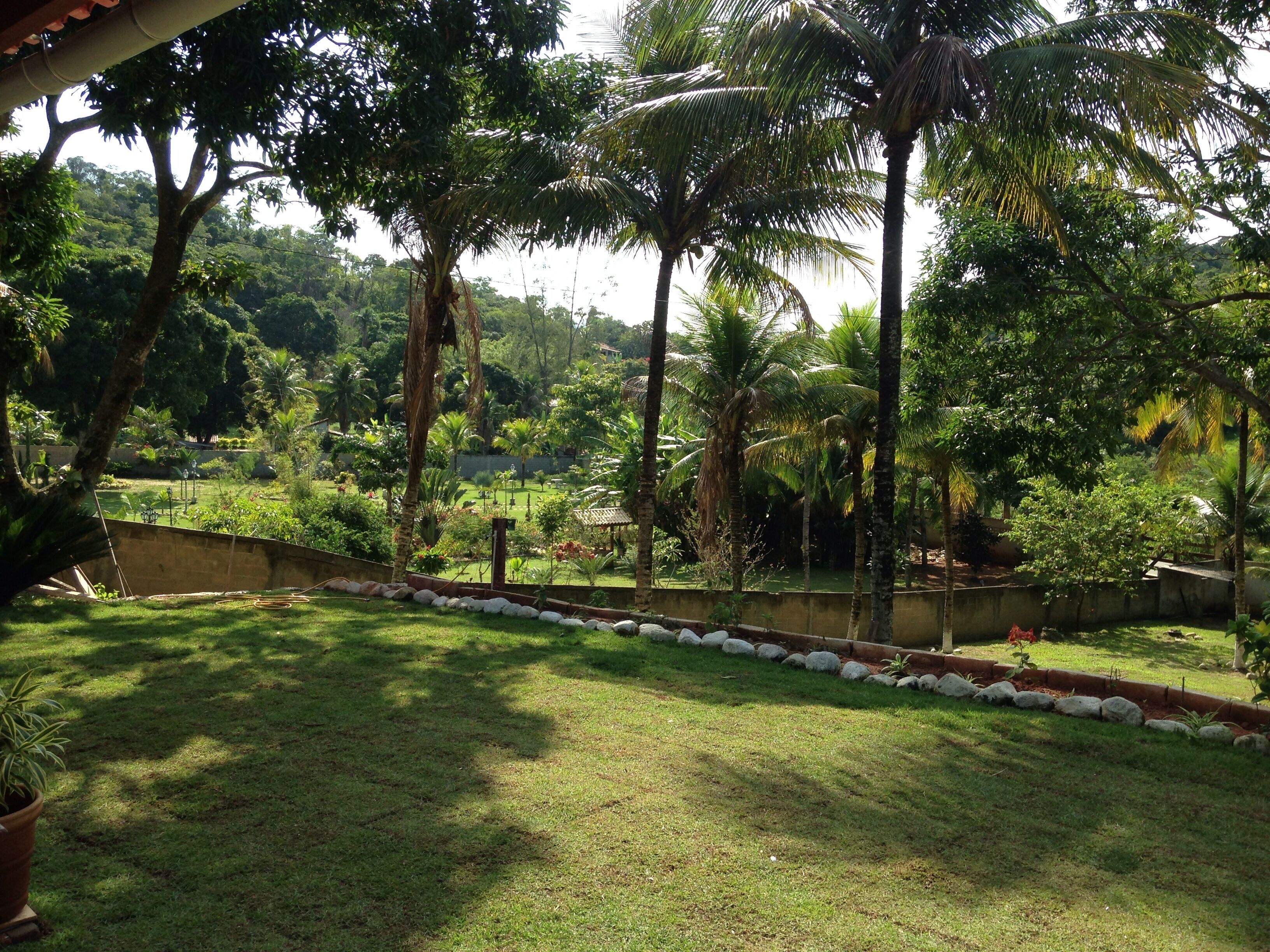 Um jardim exuberante com diversas árvores, um gramado bem cuidado e uma bordadura de pedra.